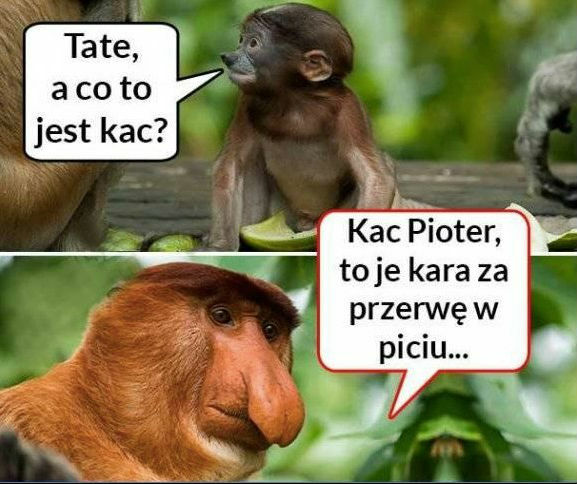 Przerwa się nie raz przyda
