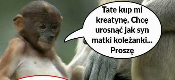 Dziecięce pomysły