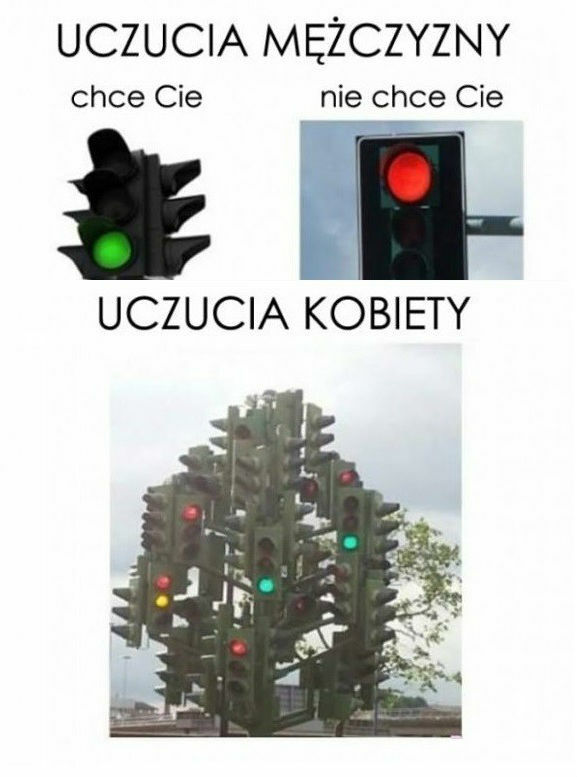 Te niewielkie różnice