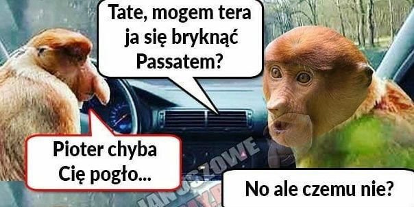 Tata nie ugięty