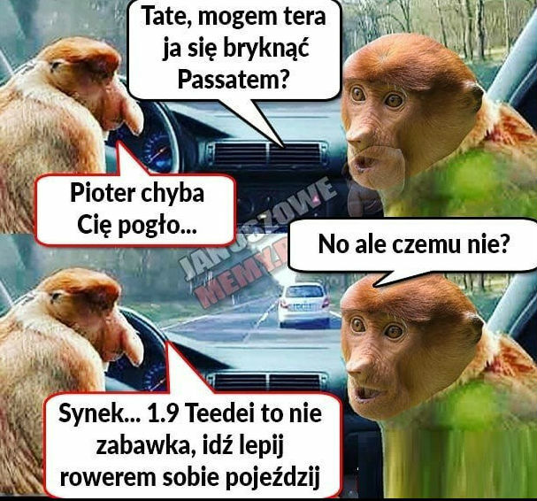 Tata nie ugięty