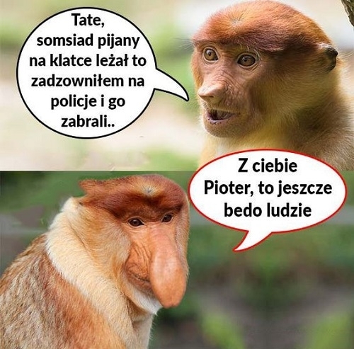 To się rzadko zdarza