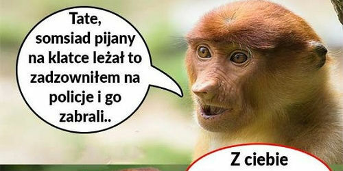 To się rzadko zdarza