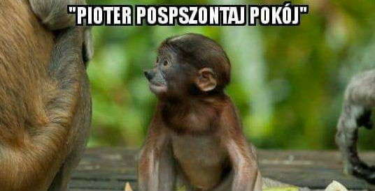 Sprzątanie pokoju