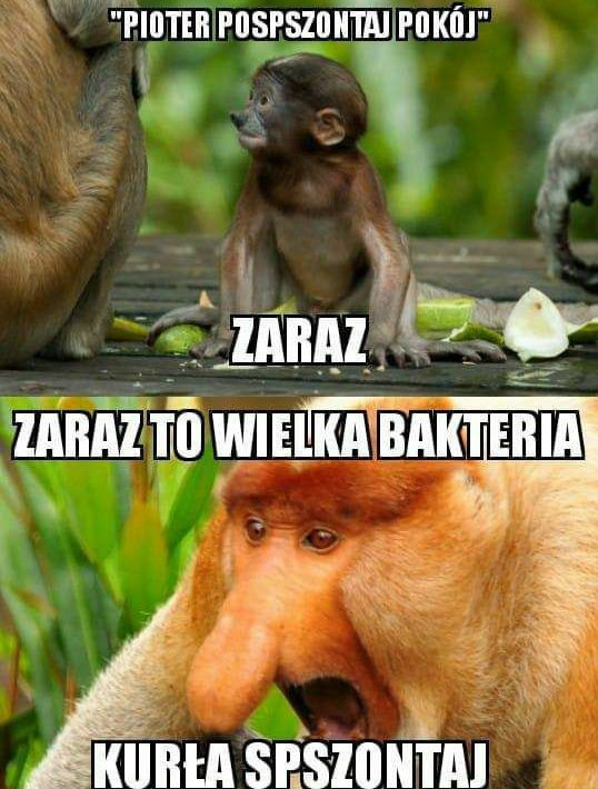 Sprzątanie pokoju