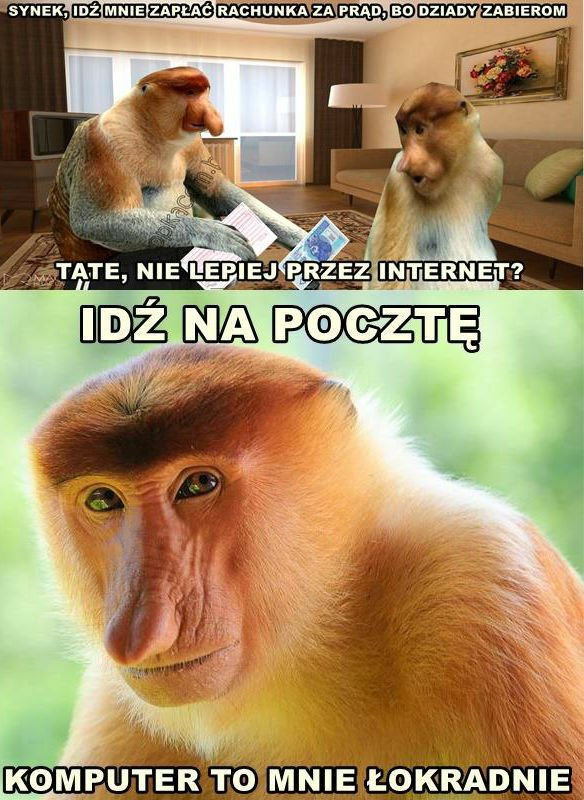 Przezorny zawsze ubezpieczony