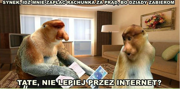 Przezorny zawsze ubezpieczony