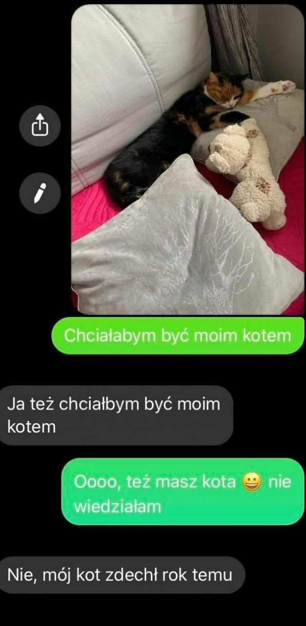 Chciałbym być kotem