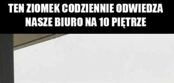 Taki to kolega