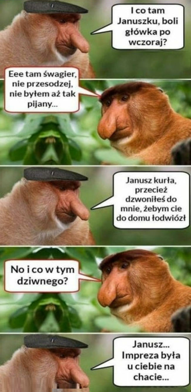 Ktoś tu za dużo wypił