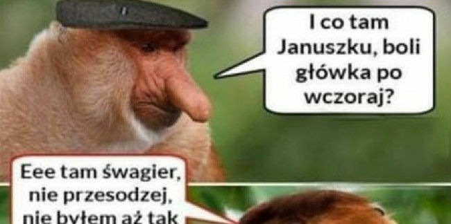 Ktoś tu za dużo wypił
