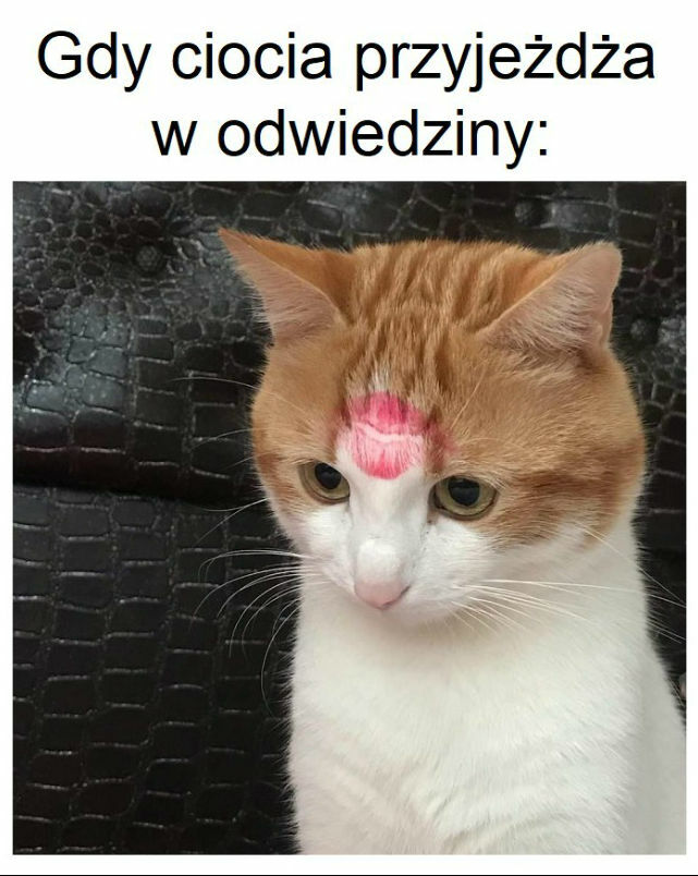 Gdy przyjeżdża ukochana ciocia