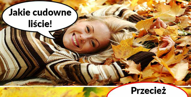 Cudowne liście :D