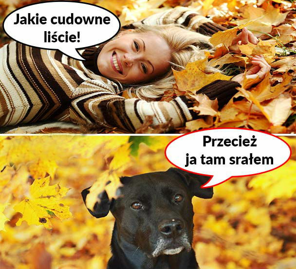 Cudowne liście :D