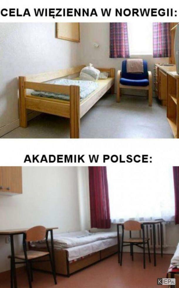 Jaki kraj, taki standard :D