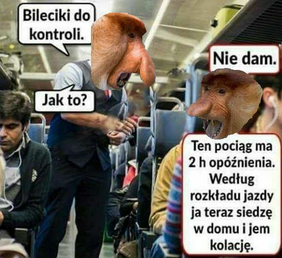 Janusz w pociągu