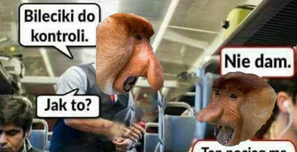 Janusz w pociągu
