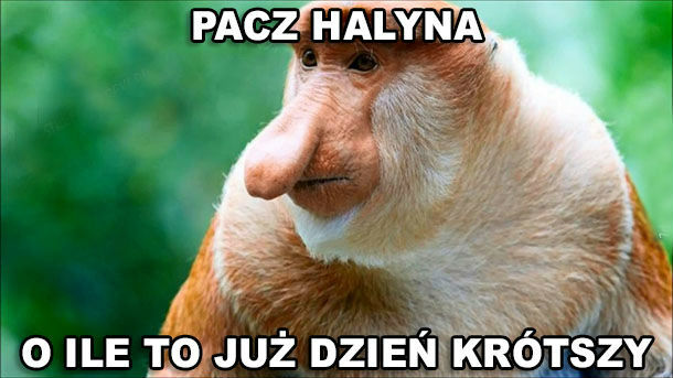 Jesienny czas