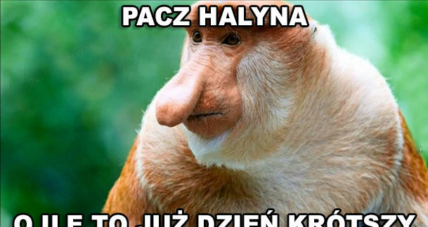 Jesienny czas