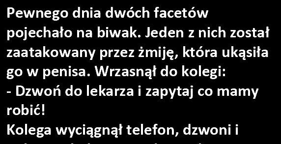 Na takiego kumpla zawsze można liczyć :D