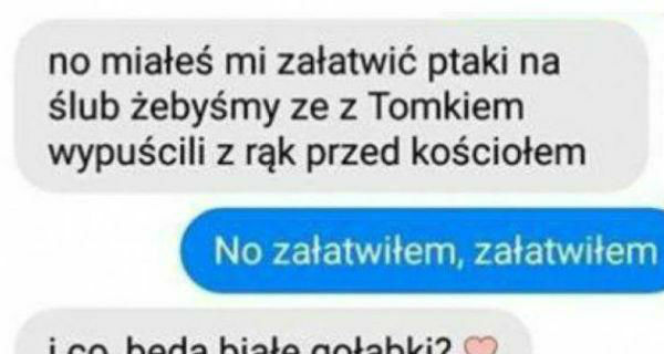 Nietypowe ptaszki na ślubie