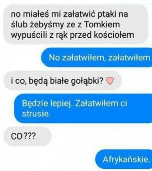 Nietypowe ptaszki na ślubie
