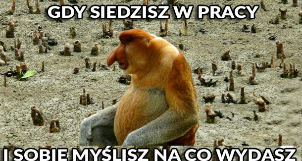 Marzenie Janusza