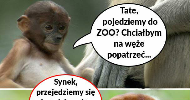 Wycieczka do ZOO