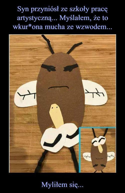 Zdziwko :D