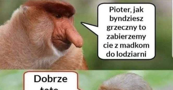 Wycieczka na lody