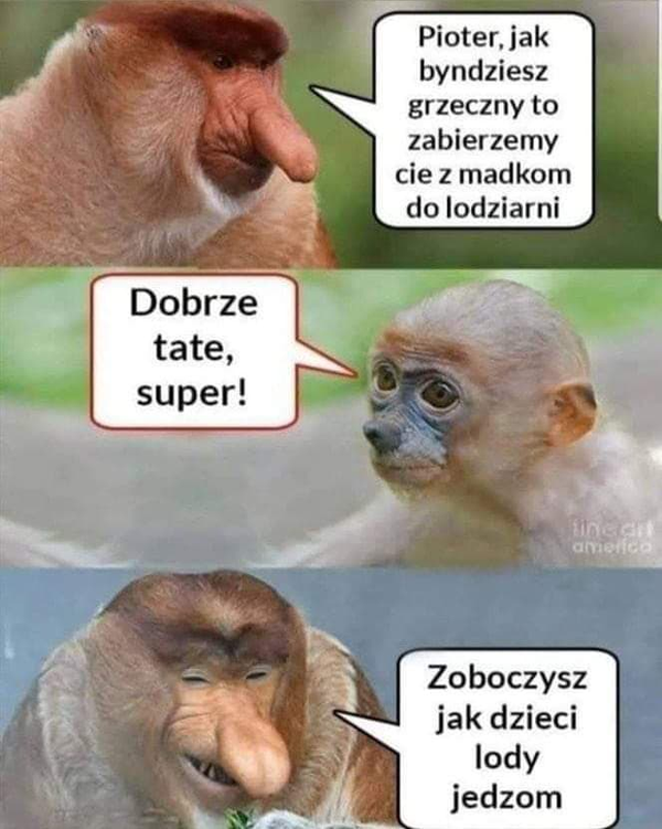 Wycieczka na lody