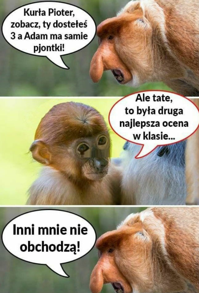 Tata ma zawsze rację