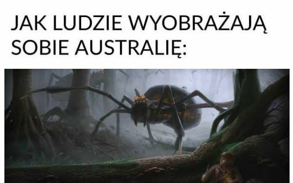 Wyobrażenia i oczekiwania