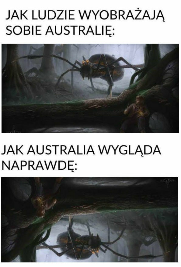Wyobrażenia i oczekiwania