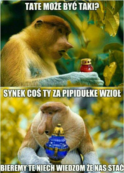 Tymczasem na grobach...