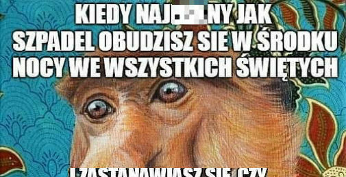 Kiedy obudzisz się w środku nocy :D