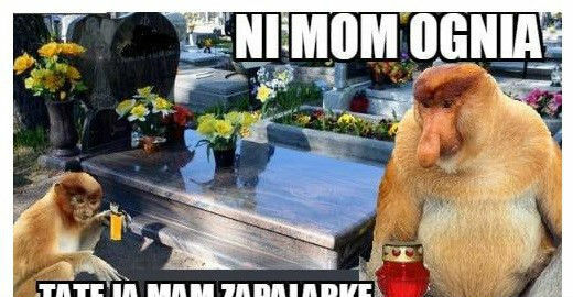 Zapalarka Piotera :D