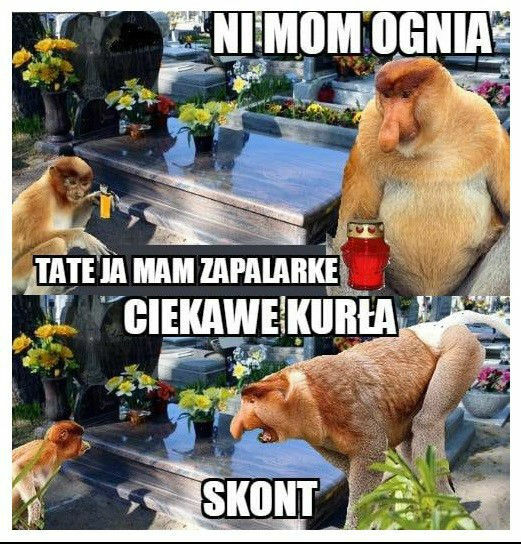 Zapalarka Piotera :D