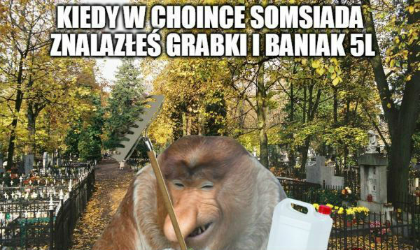 Kumulacja