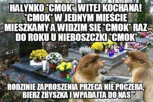 Spotkanie przy grobach
