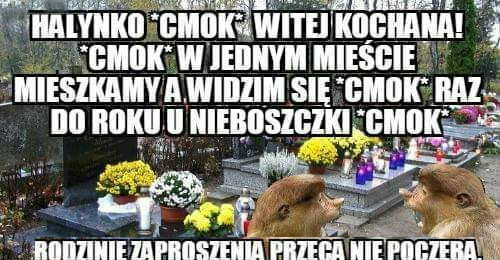 Spotkanie przy grobach