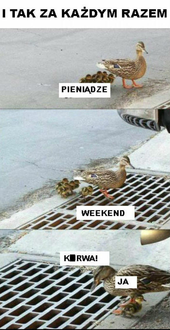 Zawsze tak jest