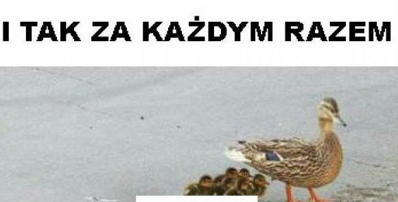 Zawsze tak jest