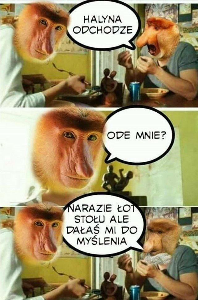 Rozmowa przy obiedzie