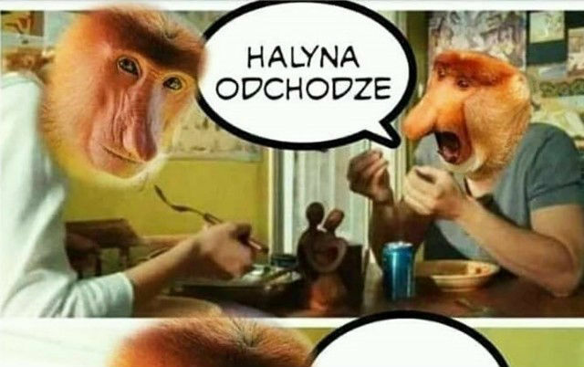 Rozmowa przy obiedzie