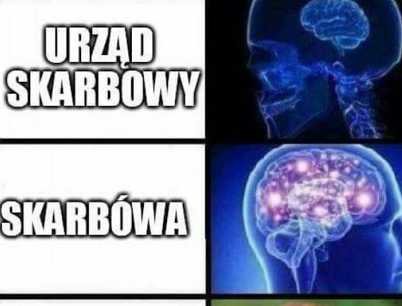 Typowy Janusz