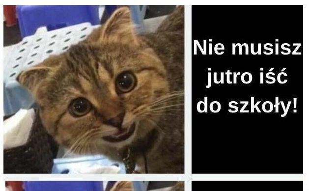 To naprawdę wspaniała wiadomość