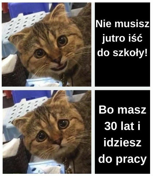 To naprawdę wspaniała wiadomość