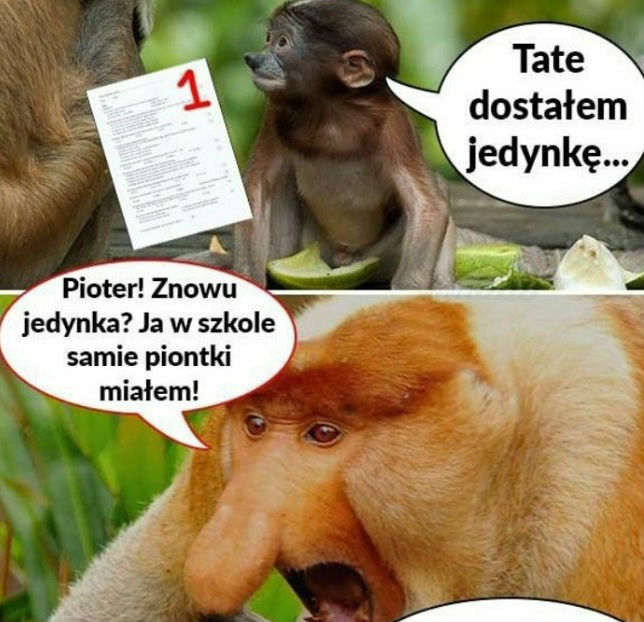 Ktoś tu się nie uczy