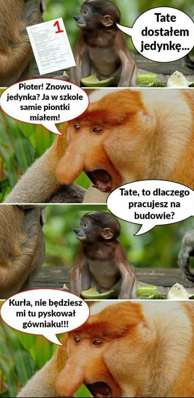 Ktoś tu się nie uczy